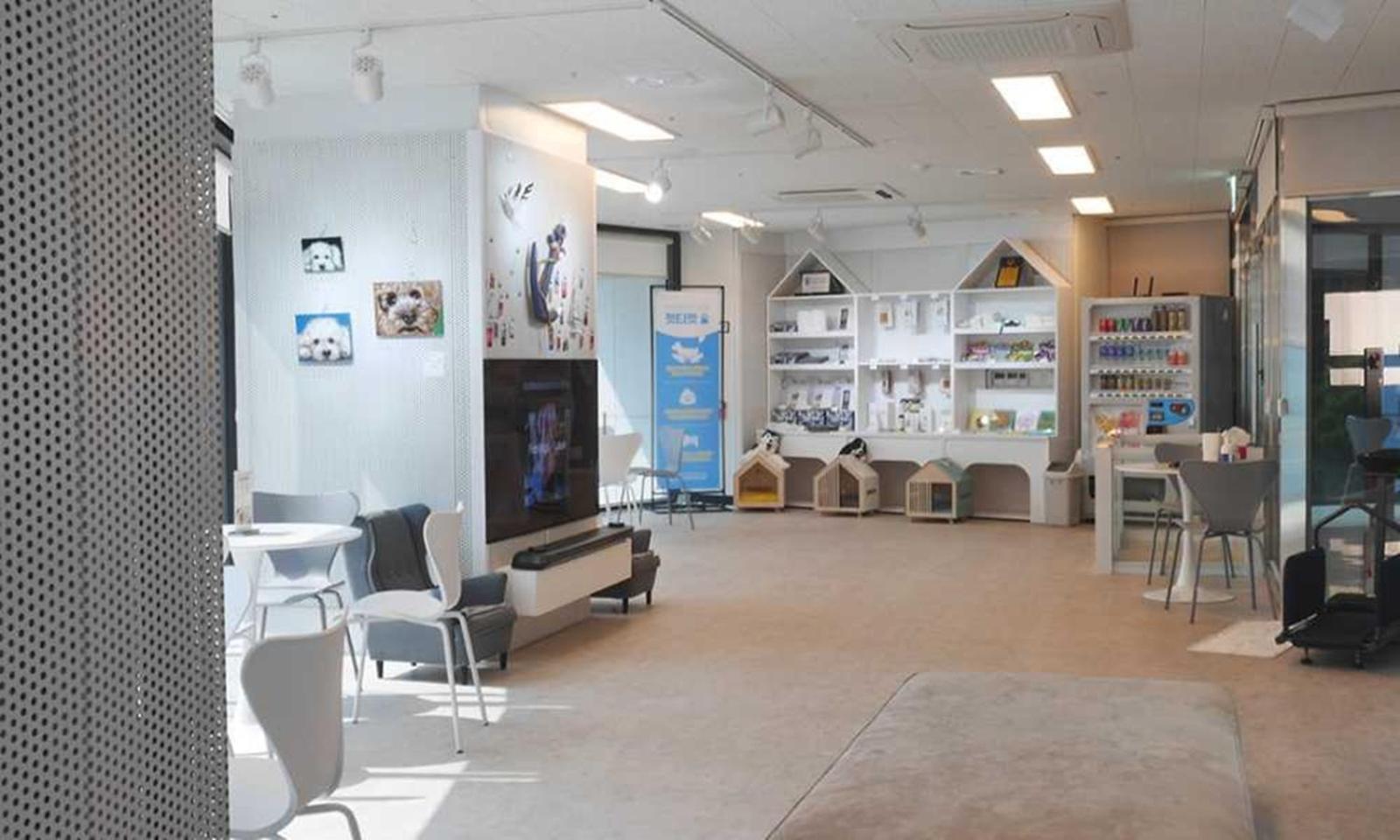 Busan Yeongmu Parade Hotel Haeundae Beach Εξωτερικό φωτογραφία